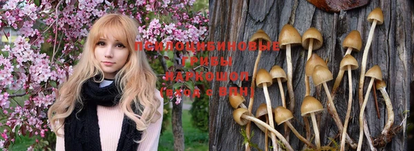 кокаин VHQ Белокуриха