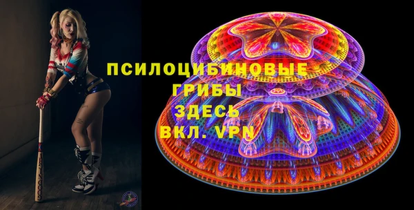 дживик Беломорск