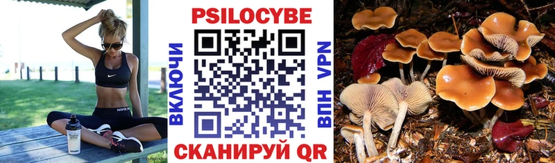 hydra как войти  Красноармейск  Псилоцибиновые грибы мицелий 