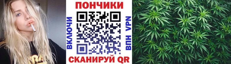 Шишки марихуана сатива Красноармейск
